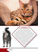 Большая энциклопедия о кошках и собаках — фото, картинка — 8