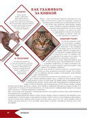 Большая энциклопедия о кошках и собаках — фото, картинка — 9