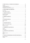 Гистология, цитология, эмбриология: учебник — фото, картинка — 12
