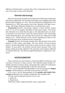 Гистология, цитология, эмбриология: учебник — фото, картинка — 7