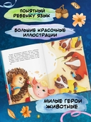 Как свинка Ди талант искала — фото, картинка — 4