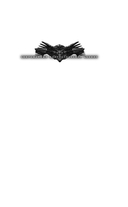 Судьба мехвоина — фото, картинка — 1