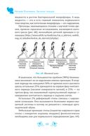 Звучание походки. Методика оздоровления спины и обретения красивой осанки — фото, картинка — 8