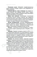 Где у него кнопка? — фото, картинка — 31