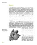 Байки из грота. 50 историй из жизни древних людей — фото, картинка — 17