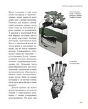 Байки из грота. 50 историй из жизни древних людей — фото, картинка — 18