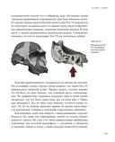 Байки из грота. 50 историй из жизни древних людей — фото, картинка — 24