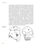 Байки из грота. 50 историй из жизни древних людей — фото, картинка — 25