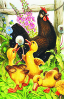 Рассказы о природе — фото, картинка — 4