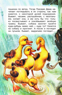 Рассказы о природе — фото, картинка — 6