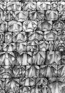 Бог, которого не было. Черная книга — фото, картинка — 10