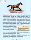 Энциклопедия. Лошади — фото, картинка — 2