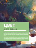 Цвет и свет — фото, картинка — 8