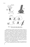Мозг и его потребности 2.0. От питания до признания — фото, картинка — 12