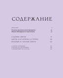 Грамматика цветов. Иллюстрированный путеводитель по цветочной вселенной символов, лечебных свойств и применения растений — фото, картинка — 2