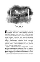 Темногорье. Серебряный лес — фото, картинка — 5