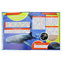 Акулы. Опасные морские хищники — фото, картинка — 2