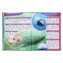 Акулы. Опасные морские хищники — фото, картинка — 3