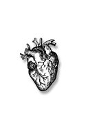 Дело сердца. 11 ключевых операций в истории кардиохирургии — фото, картинка — 1