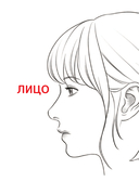 Рисуем вебтун. Лёгкий способ изучить анатомию — фото, картинка — 11