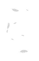 Шолох. Академия Буря — фото, картинка — 1