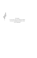 Шолох. Академия Буря — фото, картинка — 5