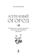 Аптечка в огороде. Выращивание, сбор и применение целебных растений — фото, картинка — 1