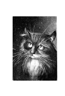 Счастливый хвост – счастливый я! — фото, картинка — 17