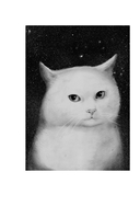 Счастливый хвост – счастливый я! — фото, картинка — 9