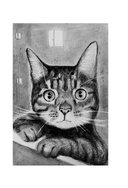 Счастливый хвост – счастливый я! — фото, картинка — 12