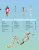 Иллюстрированный атлас. Анатомия человека — фото, картинка — 2