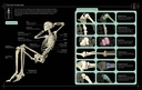 Иллюстрированный атлас. Анатомия человека — фото, картинка — 4
