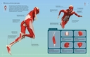 Иллюстрированный атлас. Анатомия человека — фото, картинка — 5