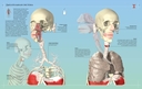 Иллюстрированный атлас. Анатомия человека — фото, картинка — 9