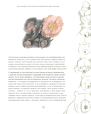 Стилизуем оригинальных персонажей. Большое практическое руководство: от поиска формы до создания уникального образа героя — фото, картинка — 9