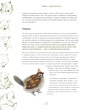 Стилизуем оригинальных персонажей. Большое практическое руководство: от поиска формы до создания уникального образа героя — фото, картинка — 10