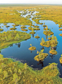 Завораживающая Беларусь. Путешествие по уголкам страны, которые остаются в сердце — фото, картинка — 4