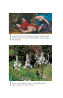 Ботанические мифы — фото, картинка — 15