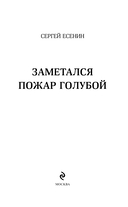 Заметался пожар голубой — фото, картинка — 3