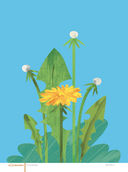 Жужа. Большой альбом для совместного творчества с малышом — фото, картинка — 6