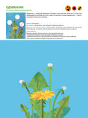 Жужа. Большой альбом для совместного творчества с малышом — фото, картинка — 5