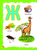 Основы дошкольных знаний для детей 2-3 лет. Годовой курс занятий — фото, картинка — 10