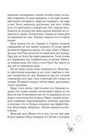 Карп, который мечтал стать драконом — фото, картинка — 10