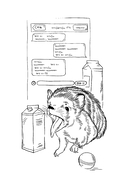 День святого Патрика и остальные 364 — фото, картинка — 7