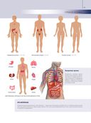 Анатомия человека. Большой популярный атлас — фото, картинка — 11