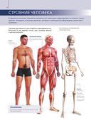 Анатомия человека. Большой популярный атлас — фото, картинка — 4