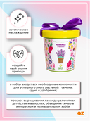 Набор для выращивания растений 