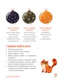 Загадки земных глубин. Почему о нефти и газе так много говорят? — фото, картинка — 16