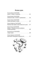 Спайдервик. Хроники — фото, картинка — 26