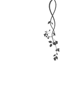 Клятвы, что мы даем — фото, картинка — 1